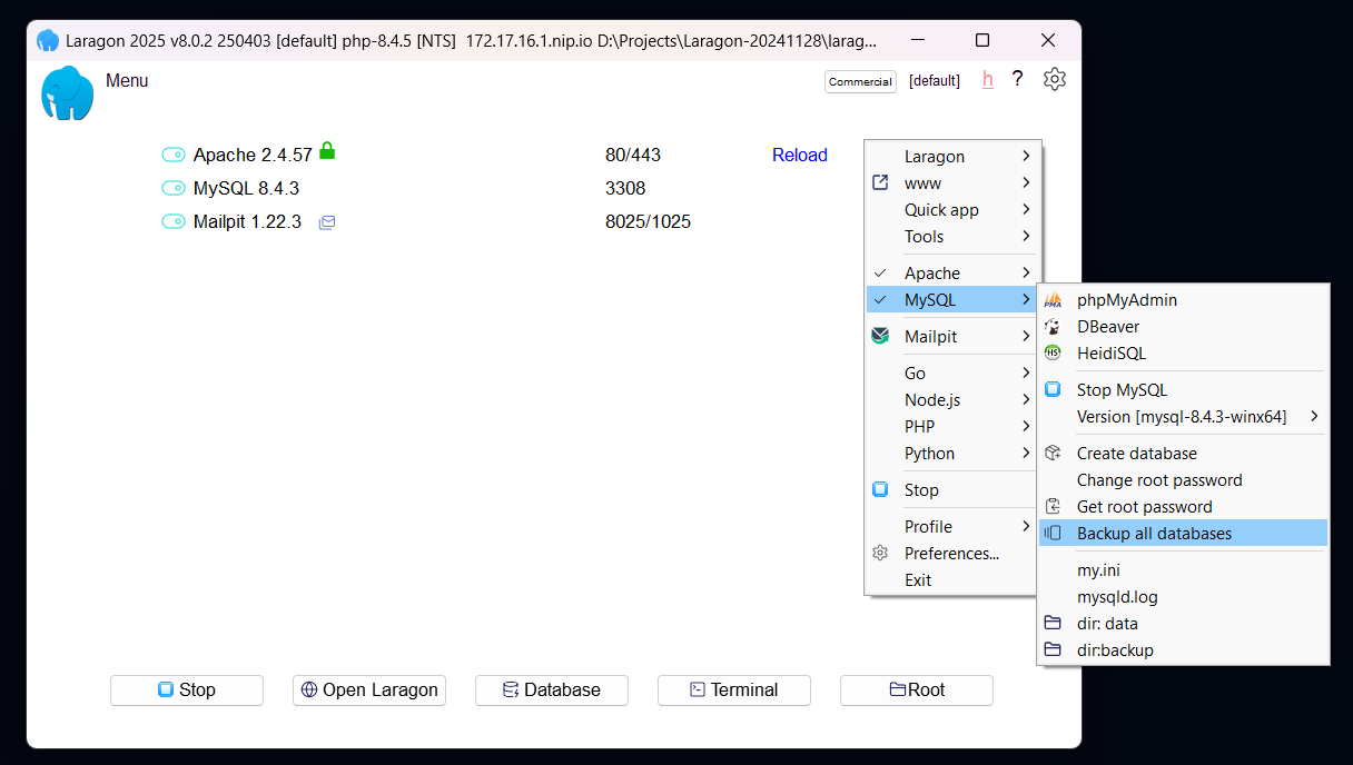 Laragon beautiful dashboard